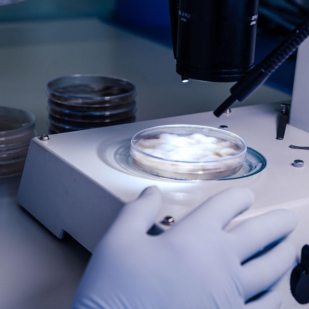Ultrasonik Muayene Eğitimi Sertifika Programı<br>